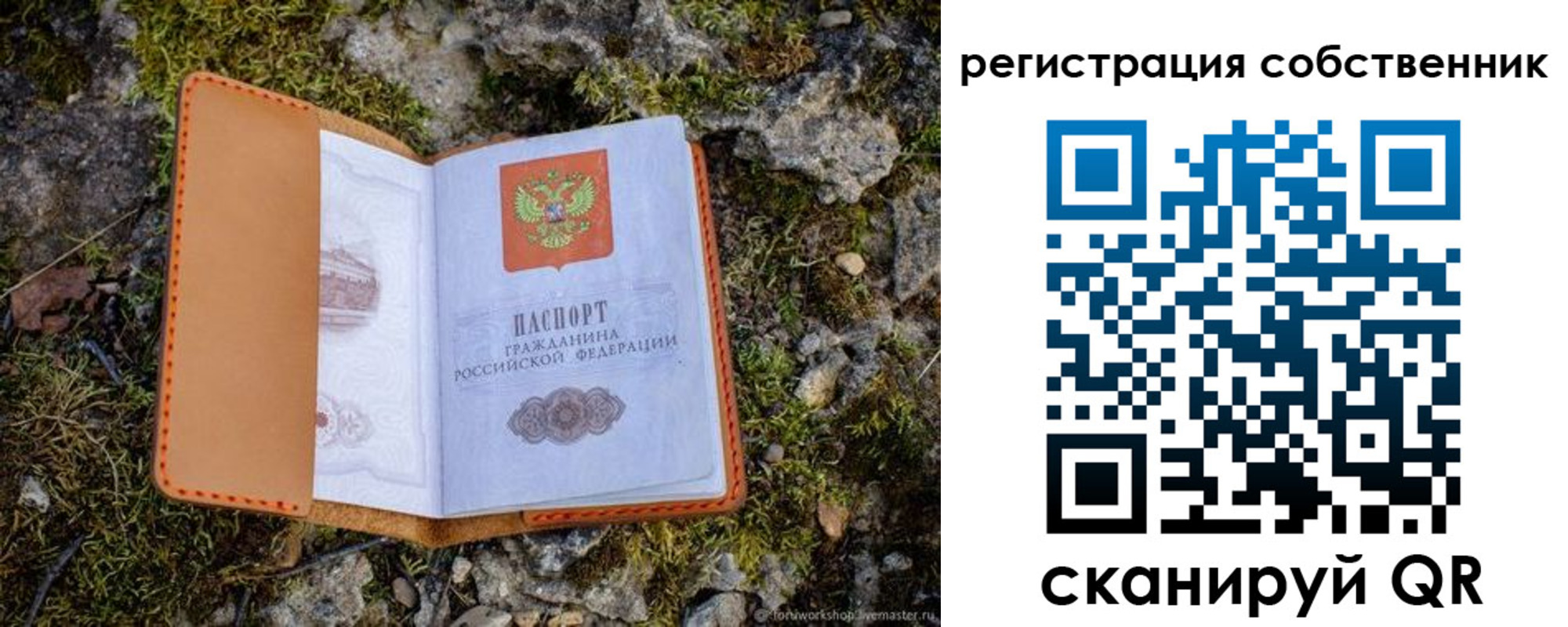 прописка поиск в Лесосибирске